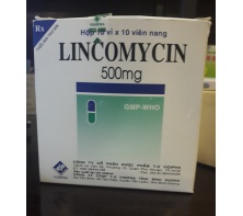 LICOMYCIN 500MG