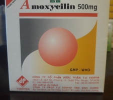 AMOXICILLINE 500mg