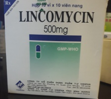 LICOMYCIN 500MG