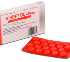 BISEPTOL 480 MG