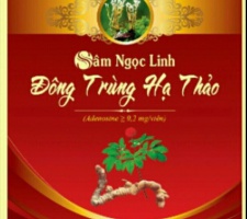 Sâm Ngọc linh đông trùng hạ thảo