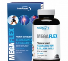 MegaFlex Glucosamine, MSM và Collagen loại II