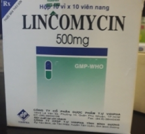 LICOMYCIN 500MG