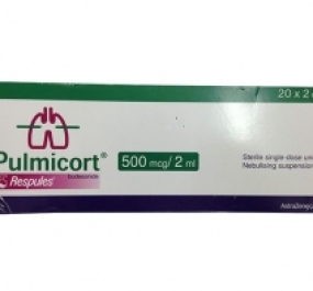 PULMICORT 500MCG/2ML