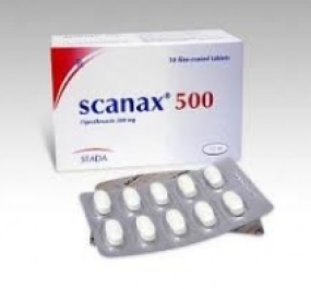 SCANAX 500