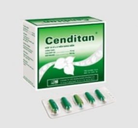  CENDITAN