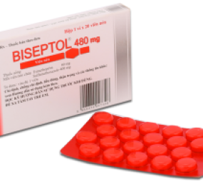 BISEPTOL 480 MG