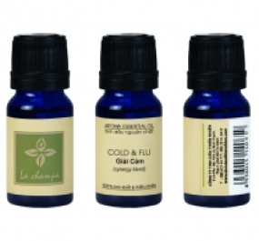 Tinh dầu giải cảm 10ml